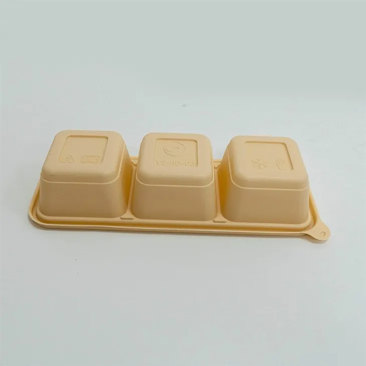Biodegradable Lunch Box with Dividers - Organize Your Food (3)