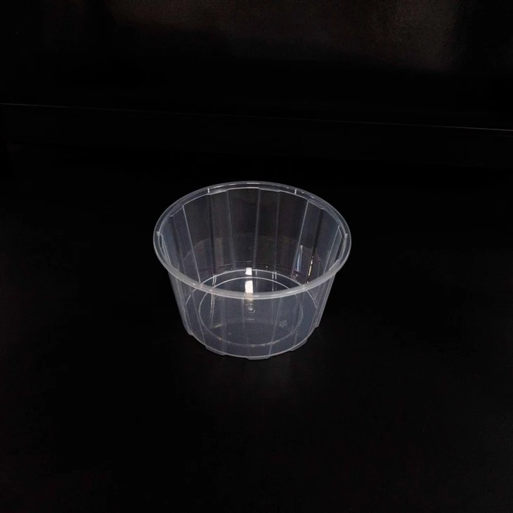 Disposable Plastic Bowls - Perfect for Catering and Takeout (2)
