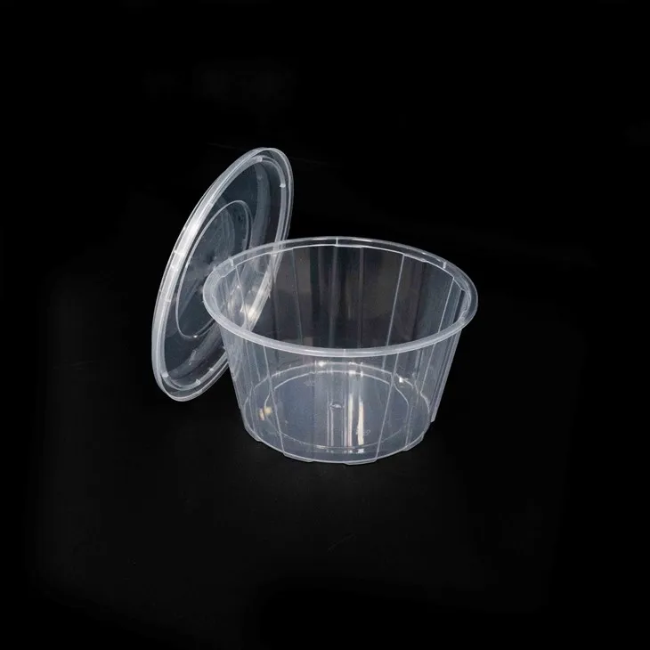 Eco-Responsible Plastic Bowls - Biodegradable Options (3) Eco-Responsible Plastic Bowls - Biodegradable Options (3)